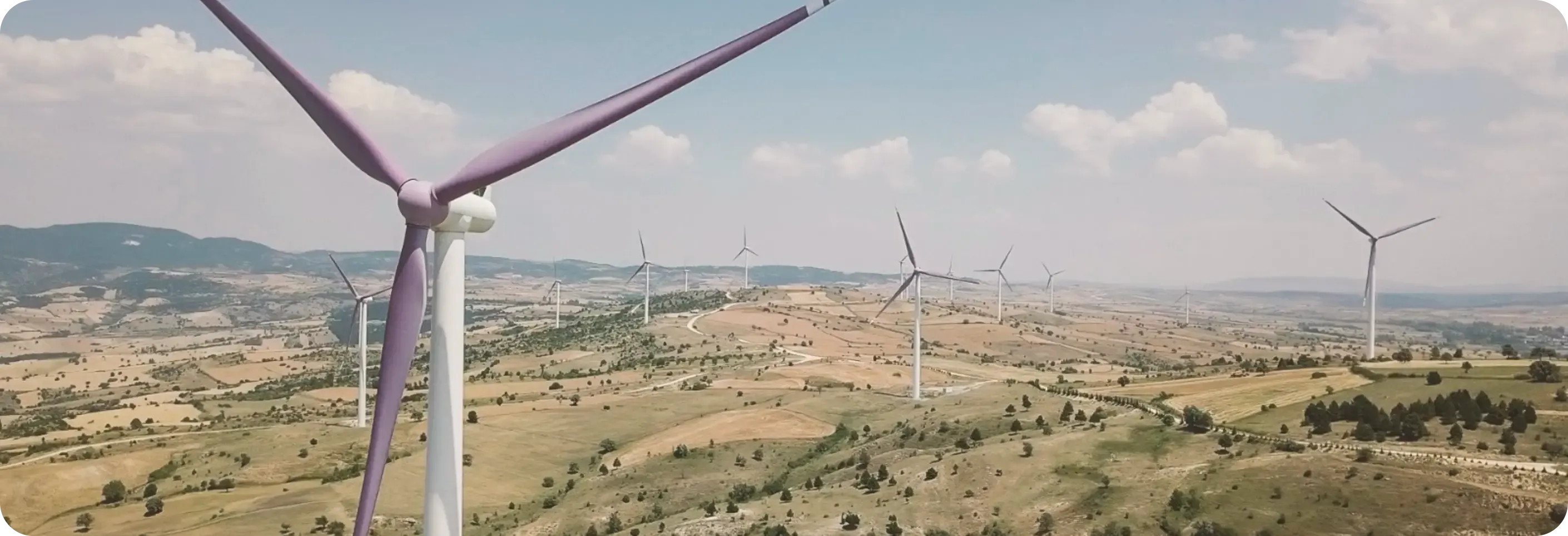 Mor Türbin Kanatları