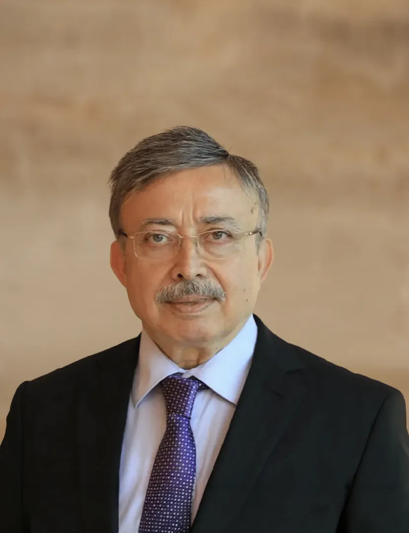 Aydem Enerji Yönetim Kurulu Başkanı Ceyhan Saldanlı