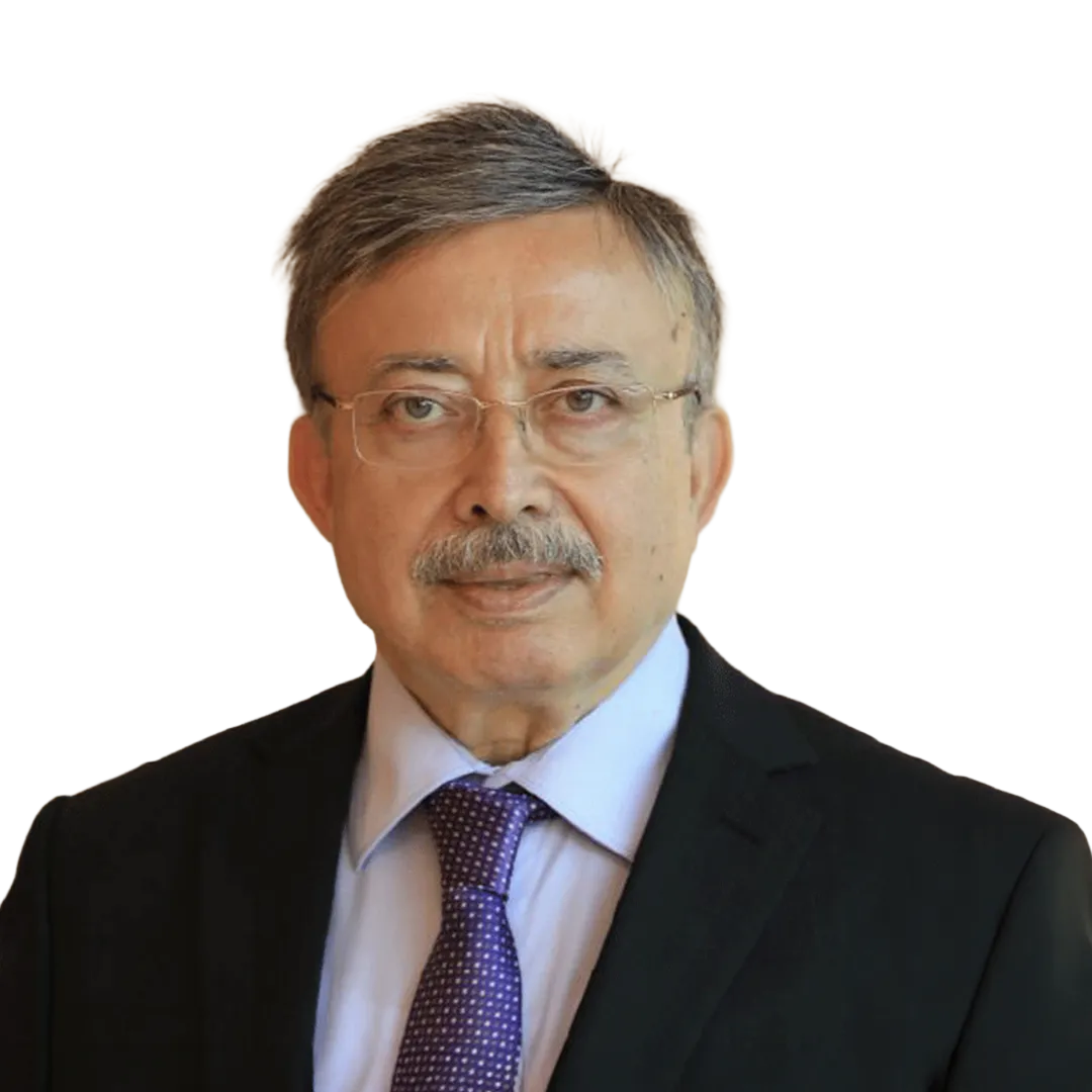 Aydem Enerji Yönetim Kurulu Başkanı Ceyhan Saldanlı